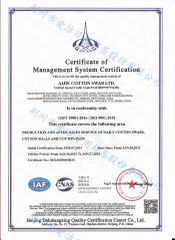 ISO:9001 certificate from AIJIE COTTON SWAB LTD.