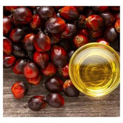 Refined Palm Oil Offering Balanced Fat Composition For Packaged Foods Bakery Ingredients And Frying Applications - Image 5