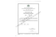 Trademark certificate from Guangzhou Yangming Entertainment Products Co., LTD