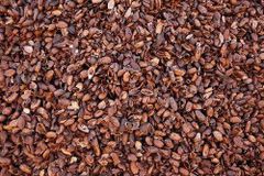 Cocoa Shell - Image 1