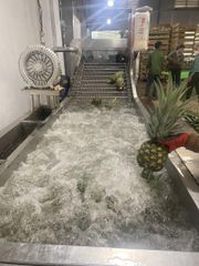 Natural Fresh Juicy Pineapple/ Sweet MD2 Pineapple Fruits/ Fresh Whole Pineapple (WA 0084366808683) - Image 4