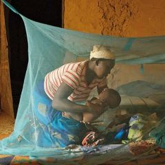 Llin Long Lasting Insecticide Treated Bed Net Mosquito Net Anti Malaria - Image 3