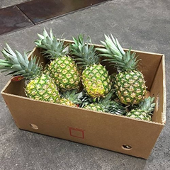 Cheapest Price Fresh Pineapple Export from Vietnam - Newest Crop & Best Quality Fresh Fruit – product photo 6, product detail gallery