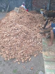 Coconut Husk - Image 2