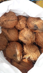Coconut - Image 2