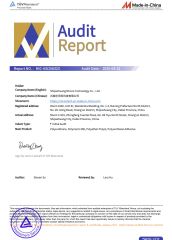 TUV Company Certification certificate from Shijiazhuang Nhcoo Technology Co. , Ltd.