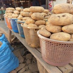 Wholesale Fresh Potatoes For Commercial Food Preparation With Firm Flesh Clean Appearance And Versatile Use - Image 4