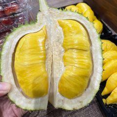 Monthong Durian Made In Vietnam So Fresh Premium Quality Fresh Whole Piece /Frozen Pulp Durian Fruit Monthong – product photo 2, product detail gallery