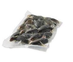 Cooked mussels in the shell - Image 1