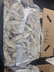 Loligo squid whole - Image 2