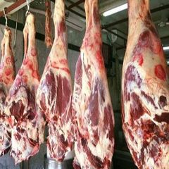 FRESH HALAL MEAT /BEEF - Image 3