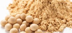 Premium Soya Bean Meal High Protein Animal Feed | Supply of Premium Grade Soybean Meal - Image 5