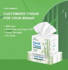 Wholesale 3ply Box Biodegradable Facial Tissues MOQ 1*40hq Trademark OEM Layer 2/3/4 Ply Origin Shangdong Price Best - Image 3
