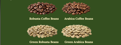 Coffee beans arabica/robusta , Green arabica/robusta beans - Image 1