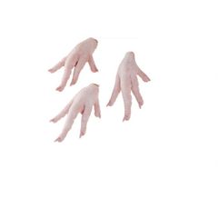 Factory Direct Frozen Chicken Paws available for fast handling and loading – product photo 5, product detail gallery