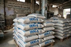 IRRI-6 LONG GRAIN WHITE RICE 10% Broken - Pakistan Origin - Image 6