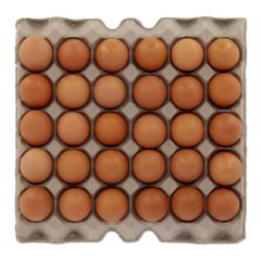 Chicken Eggs Supplier for Food Processing Industry with Reliable Quality and Stable Supply - Image 1