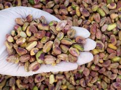 Best Pistachos Wholesale High-Quality Healthy, Pistachio Nuts ,Pistachio Food For sale in great price Thailand 100% - Image 2