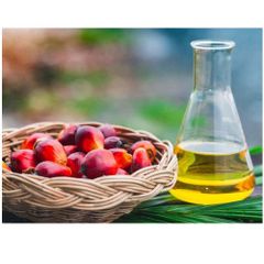 Top Grade Pure Refined Edible Fractionated Palm Kernel Oil 100% High Purity-FENICIA Brand 2-Year Shelf Life 25L Bulk Sup - Image 1
