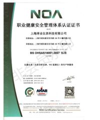 BS OHSAAS18001:2007 certificate from Shanghai Chunye Instrument Technology Co., Ltd.