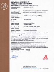 NNC68 certificate from CLION ELECTRIC CO., LTD.