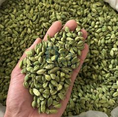 Green Cardamom - Fresh – product photo 3, product detail gallery
