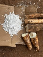 Tapioca starch for Food and Industrial Applications – product photo 3, product detail gallery