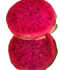 Cheap Price of Dragon Fruit From Indonesia +62811446099 Grade A Taste Sweet Style Fresh Model Number 12 Color RED - Image 1