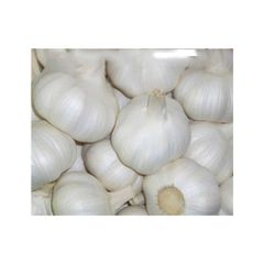 Fast delivery Fresh Garlic for global buyers in food distribution and retail - Image 1