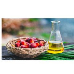 Top Grade Pure Refined Edible Fractionated Palm Kernel Oil 100% High Purity-FENICIA Brand 2-Year Shelf Life 25L Bulk Sup - Image 3
