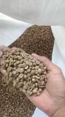 Coffee beans - Image 2