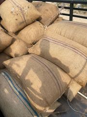 Cocoa beans – product photo 1, product detail gallery
