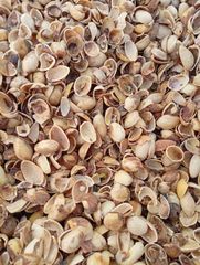 Pistachio Nutshells & Biomass Carbon - Image 4