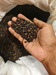 Premium Kerala Black Pepper Whole – 500 GL / 550 GL - Image 1