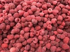Wholesale Supplier Of Organic Frozen Raspberries in bulk Grade A Form Frozen Taste Sweet Texture Juicy Color Vibrant Shelf Life Up To 24 Months - Image 2