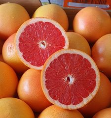 FRESH GRAPEFRUIT FOR SALE!! CLASS 1 EXPORT QUALITY GRAPEFRUIT NOW AVAILABLE FOR EXPORT – product photo 4, product detail gallery