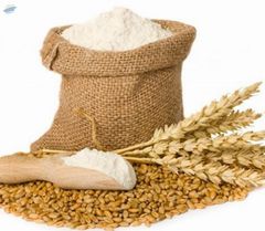 Wheat Flour, Rice , Maize, Rye And Cereal Flour - Image 1