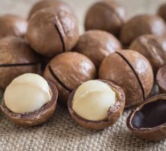 100% Natural Organic Whole Macadamia Kernels Raw Dried Creamy Taste Macadamia Nuts Vacuum Pack - Image 1