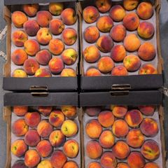 CLASS 1 Export Quality Yellow Flesh Peaches from South Africa! NEW CROPS Excellent packing; – product photo 5, product detail gallery