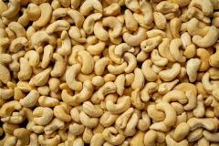 Cashew Nuts - Image 1