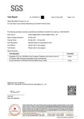 SGS certificate from Hebei Rital Metal Products Co., Ltd.