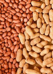 Raw Peanuts Groundnuts Raw peanuts, also known as groundnuts, are nutrient-dense legumes packed with plant-based protein – product photo 6, product detail gallery
