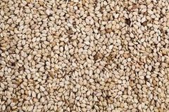 Sesame seeds – product photo 1, product detail gallery
