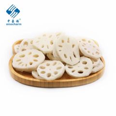 New Crop Frozen IQF Vegetable Lotus Root Frozen Lotus Root - Image 1