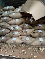 Premium Tanzanian Cashew Nuts – product photo 2, product detail gallery