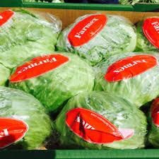 fresh ice berg lettuce Origin Farmex Farms Grade Export Quality Weight Range 500–800 G Per Head Packaging Options 5 Kg / 10 Kg Cartons Or As - Image 4