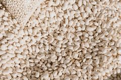 Dry Beans - Image 1