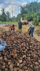 COCONUT SHELLS - Image 1
