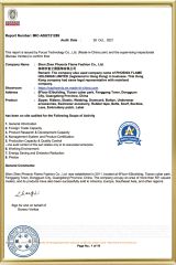 MIC-ASI2121289-Phoenix flame certificate from Phoenix Flame Holdings Limited