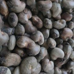 Cashew Nuts – product photo 1, product detail gallery
